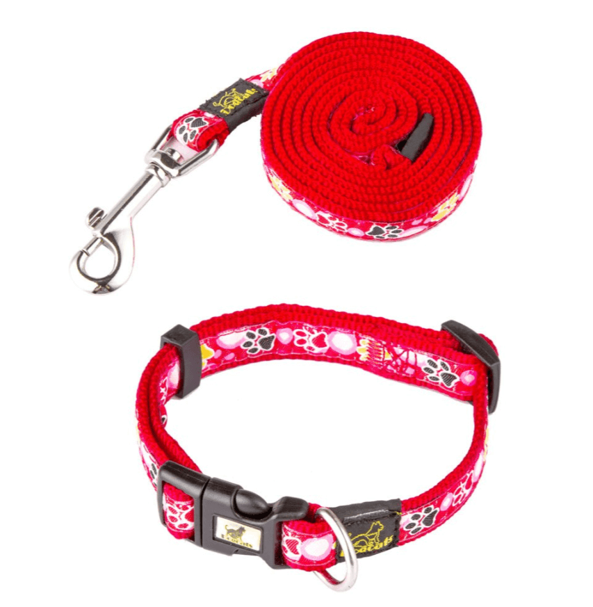 New Dog Paw Print Nylon Leash Collar (With Leash) Set Of Pet Supplies - PrimeDiscount