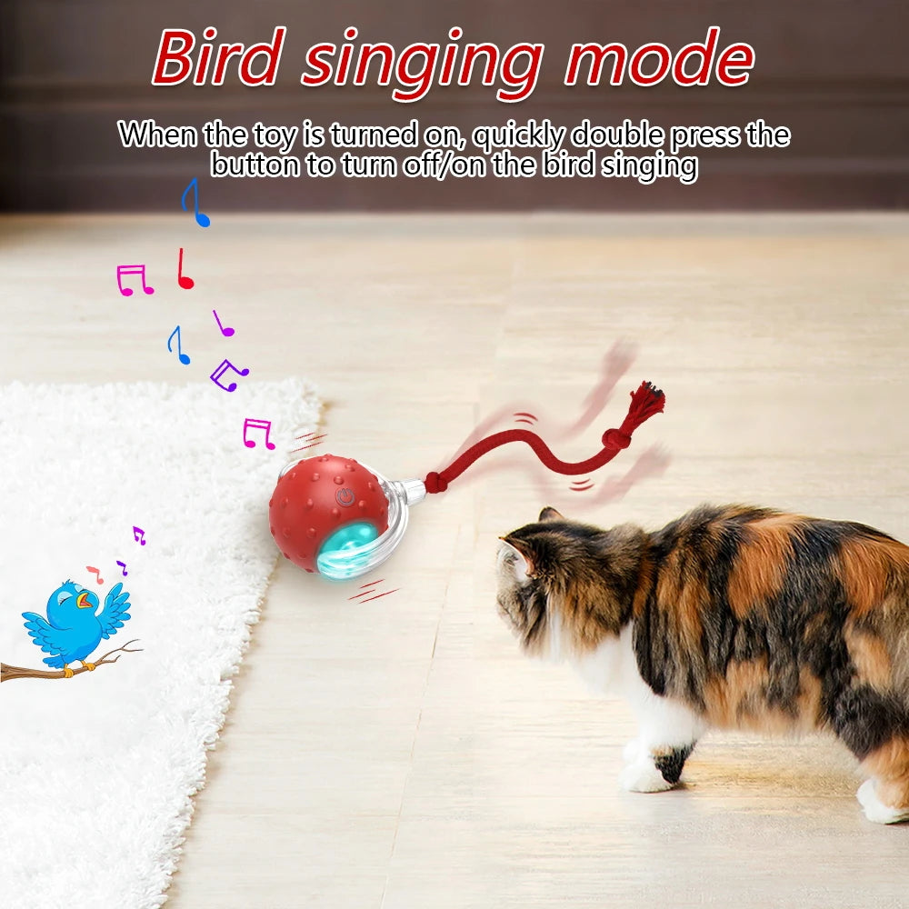 Jouet interactif pour chat avec balle chantante pour oiseaux, balles roulantes pour chat, capteur activé par le mouvement, jeu de taquin pour chatons 