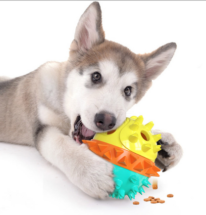 Le bâton de broyage des dents des animaux de compagnie fait des bruits, les jouets pour chiens couinent et fuient des boules de nourriture