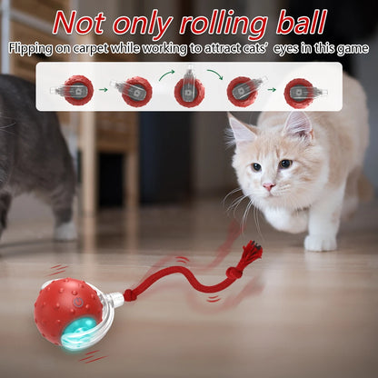 Jouet interactif pour chat avec balle chantante pour oiseaux, balles roulantes pour chat, capteur activé par le mouvement, jeu de taquin pour chatons 