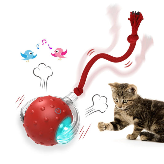 Interactive Cat Toy Ball with Bird Chirping Super Drive Cat Rolling Balls Motion Activated Sensor Pet Kittens Teaser Game Toys