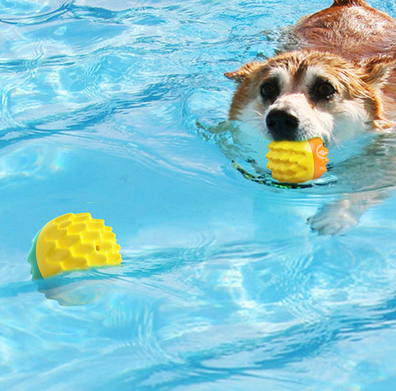 Hundespielzeug Training Zähneknirschen Ball Sprechende Zahnbürste Hund Outdoor Interaktion