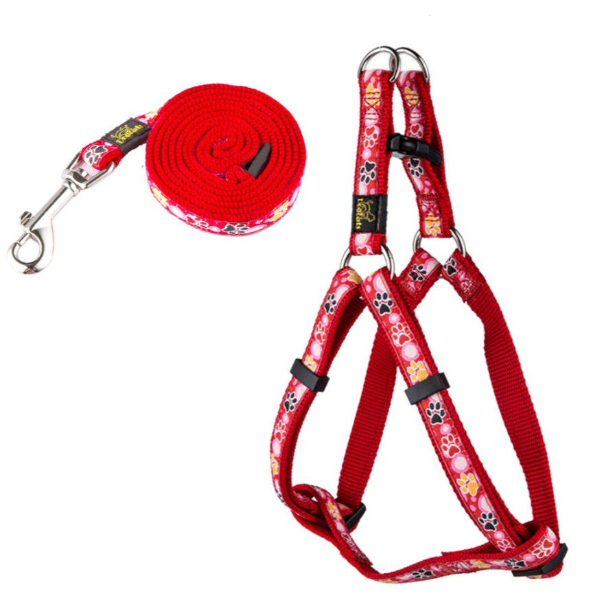 New Dog Paw Print Nylon Leash Collar (With Leash) Set Of Pet Supplies - PrimeDiscount