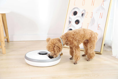 Gamelle électronique intelligente automatique à 6 plateaux pour chat et chien, distributeur automatique de nourriture pour animaux de compagnie avec minuterie