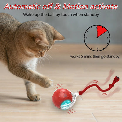 Jouet interactif pour chat avec balle chantante pour oiseaux, balles roulantes pour chat, capteur activé par le mouvement, jeu de taquin pour chatons 